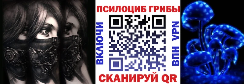 Купить  Краснокаменск  Псилоцибиновые грибы Psilocybe 