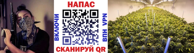 Конопля Bruce Banner  Купить закладки  Краснокаменск 